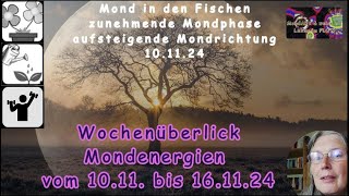 Wochenüberblick der Mondenergien vom 1011 bis 161124 [upl. by Ttebroc600]