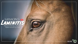 Managing Laminitis [upl. by Eatton]