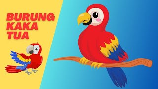 Lagu Anak Burung Kakatua ll Parrots Song for Kids [upl. by Attaymik]