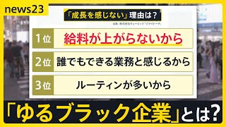 民間企業で働く人の給与は平均460万円で3年連続増 ただ男女格差は拡大 “ホワイトすぎて自分の成長を感じない”「ゆるブラック企業」とは？【news23】｜TBS NEWS DIG [upl. by Eisele]