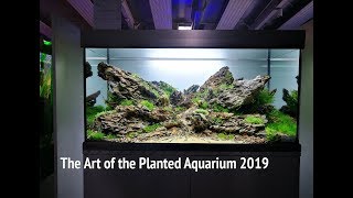 The Art of the Planted Aquarium 2019  Aquascape Contest [upl. by Ahsyle256]