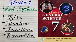 Grade 7 Unit 1 Root system Types of Roots tap and fibrous roots structure functions and Examples [upl. by Tireb]