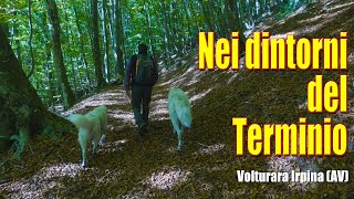 Nei dintorni del Terminio  Volturara Irpina AV [upl. by Capello697]