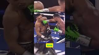 Interesting facts about Vasyl Lomachenko vs Teofimo Lopez shorts boxing new best viral boxer [upl. by Kurzawa326]