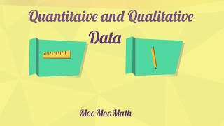 Qualitative and Quantitative Data [upl. by Lladnar]