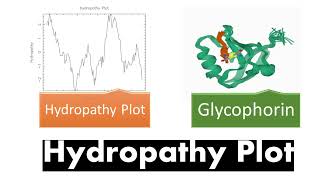 Hydropathy Plot  Introduction Transmembrane Proteins Hydropathy Index [upl. by Oznola292]