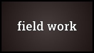 Field work Meaning [upl. by Ivana]