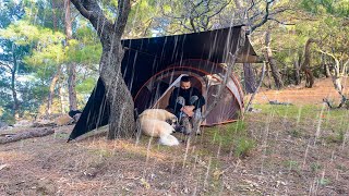 Camping in Heavy Rain Rainstorm and Strong Winds • Bad Weather Camping with My Dog [upl. by Yoho]