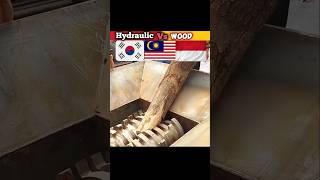 SHREDDER MACHINE VS WOOD  Of Different Country shredder crushing [upl. by Gnoz]