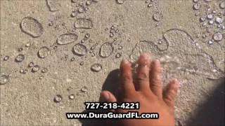 Concrete Sealing Experts  Should you seal your concrete  Pasco Hernando Tampa [upl. by Arutek391]