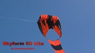 Skyform 60 parafoil kite [upl. by Hamish]