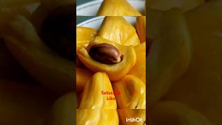 youtubeshorts tamilviralpalapalamfruits [upl. by Latoya]