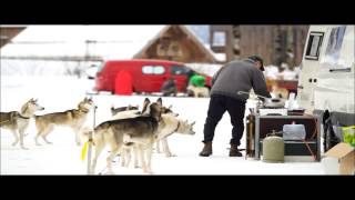 Schlittenhunderennen in Werfenweng [upl. by Hermine]