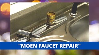 Moen Style Kitchen Faucet Repair And Rebuild [upl. by Bernstein258]