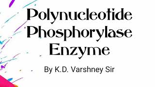 Polynucleotide Phosphorylase enzyme [upl. by Singer199]