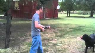 Shooting Sawed Off 12GA Shotgun And It Breaks [upl. by Chelsae]