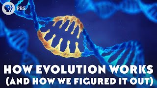 How Evolution Works And How We Figured It Out [upl. by Iverson]