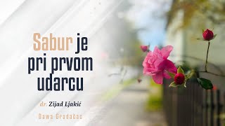 SABUR JE PRI PRVOM UDARCU  dr Zijad Ljakić [upl. by Ailimaj]