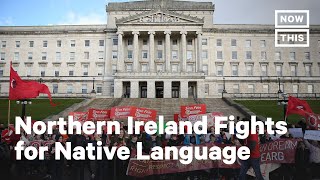 Activists Fight to Preserve Irish Language [upl. by Nalahs]