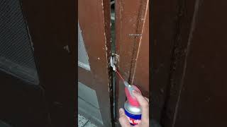 Door Noise Fix with this Hack  Squeaky door shorts tips lifehacks vsethicreation wd40 [upl. by Laural146]