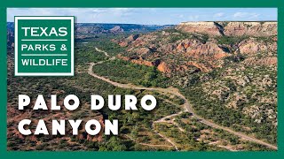 Palo Duro Canyon State Park Texas [upl. by Castara]