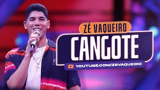 Zé Vaqueiro  Cangote Video Oficial [upl. by Chuu115]