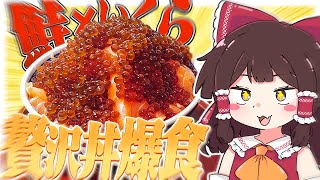 サーモンといくらの親子丼爆食！！【ゆっくり料理】【ゆっくり実況】【コストコ】 [upl. by Anitak]