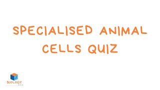 Specialised Animal Cells Quiz  With Answers  KS3 Cell Biology [upl. by Mckenzie]