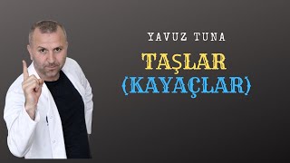 TAŞLAR VE KAYAÇLAR tytcoğrafya aytcoğrafya coğrafya [upl. by Gautious]