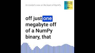 An insider’s view on the heart of NumPy [upl. by Olvan]