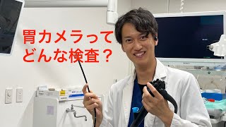 【胃カメラってどんな検査！？】胃カメラの検査方法や、よくある疑問点などについて詳しく説明します。 [upl. by Nroht]