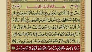 SURAH YASEEN WITH URDU TARJUMA [upl. by Darwen]