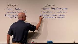 Microbiology Ch 4 Prokaryotes vs Eukaryotes [upl. by Ibbie852]