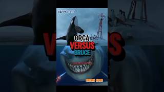 Orca Vs Great White Shark [upl. by Sharla712]