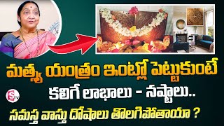 మత్స్య యంత్రం  Matsya Yantra Benefits In Telugu  Matsya Yantra Pooja Vidhanam  Gouri Umesh [upl. by Valentine]