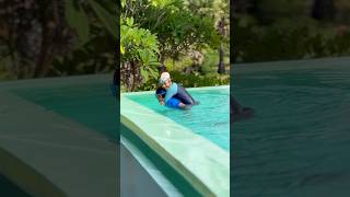 Amma kuda Pondicherry la swimming 🥰🤩ishqyouall dance swv tamil youtube shortsvideo [upl. by Grady]