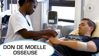 Comment se passe le don de moelle osseuse   Dons du vivant [upl. by Madlen]