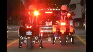 最新白バイFJR1300 vs CB1300 レアな夜間赤色灯比較 New Police Motorcycle [upl. by Eybbob]