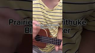 Prairies  Boywithuke Cover By Blurry boywithuke ukulele music ukulelecover cover singer [upl. by Naihtsirc969]