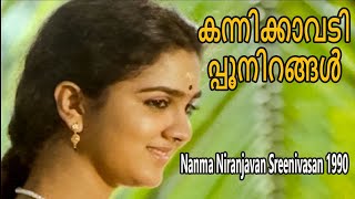 Kannikkaavadi poonirangal  Nanma Niranjavan Sreenivasan 1990  Johnson  Malayalam Movie Song [upl. by Cathrin]