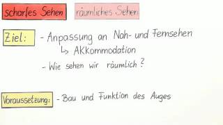 Das Auge  scharfes Sehen räumliches Sehen  Biologie  Humanbiologie [upl. by Disini]