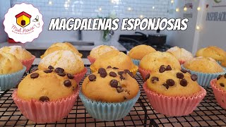 Como hacer Magdalenas deliciosas con pocos ingredientes RECETA PRINCIPIANTES [upl. by Marsden]