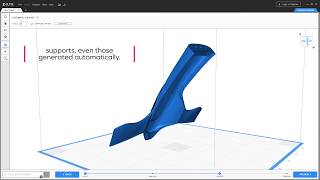 Z Suite 2 Soportes editables [upl. by Quartus]