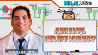 Adrenal Insufficiency  Clinical Medicine [upl. by Lednyk]