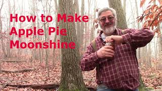 How to make Apple Pie Moonshine stillworksandbrewing [upl. by Friede559]