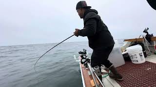 Rock fishing for halibut [upl. by Jasper]