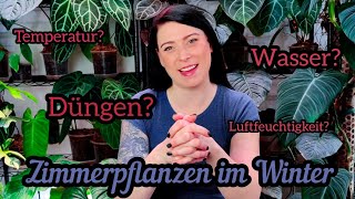 Die besten Pflanzen TIPPS für den Winter  düngen Wärme Licht uvm [upl. by Zadack]