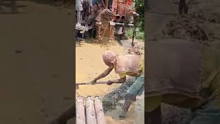 borewell water fresher wow borwell supari borewell ginger trading indian indianfarmer [upl. by Gertruda611]