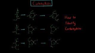 Carbohydrates Introduction to MCAT Biomolecules [upl. by Arhaz484]