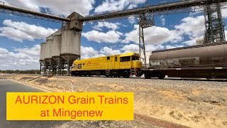 AURIZON Grain Trains at Mingenew 28122023 [upl. by Grani]